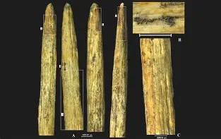 开元官网-包含?&amp;D?^蹏[